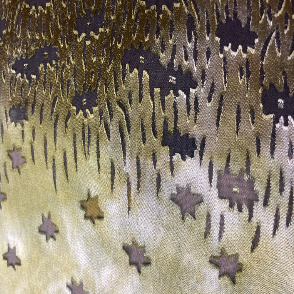 Gorgeous Green Citron Silk and Rayon Sheer Goddess Blouse - Medium - Picture 14 of 16